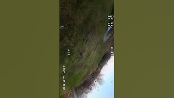Powerloops - FPV Freestyle #drone #fpvdrone #fpvfreestyle #nature #tree #sky #dji #fpv #shorts