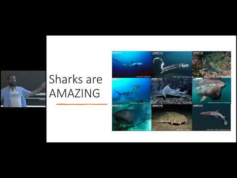 Why Sharks Matter: Shark Science and Conservation on YouTube