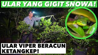 AKHIRNYA! ULAR BERACUN PENGGIGIT SNOWA KETEMU!!