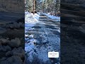 Good morning 🌞 #shortvideo #youtubeshorts #youtuber #california #short #shortsfeed #youtube #snow