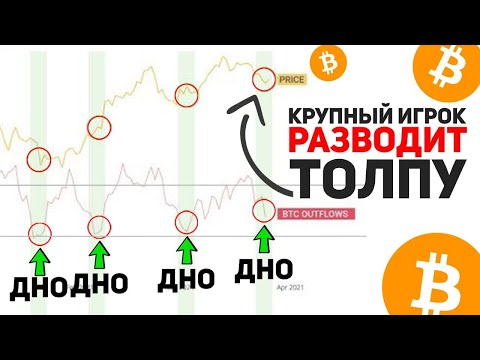 КИТЫ ВЫБИВАЮТ СЛАБЫЕ