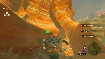 [DAY 371] of finding one korok seed in TotK everyday until a new Zelda game comes out