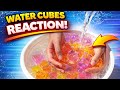 DO NOT BLINK… This Water Cubes Reaction Is Addictive 😳💧