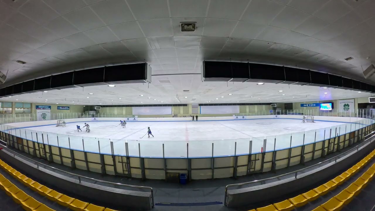 20260226_목_파인트리즈_03