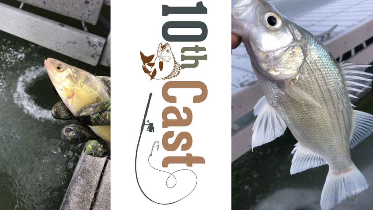 Ice fishing Utah lake State Park YouTube