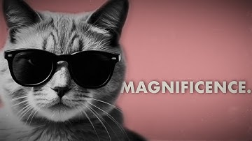 Spectacular Cats Descend Upon London | New Music | Animated Music Video 2024