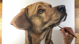 Biondo’s acrylic portrait