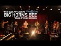 "BIG HORNS BEE Party vol.3 -DELIGHT-  FUNK SESSION" BLUE NOTE TOKYO Interview & Live Streaming 2020