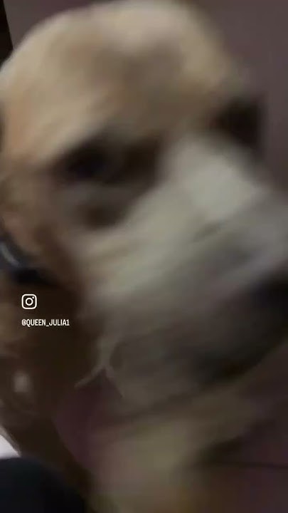 youtube.com