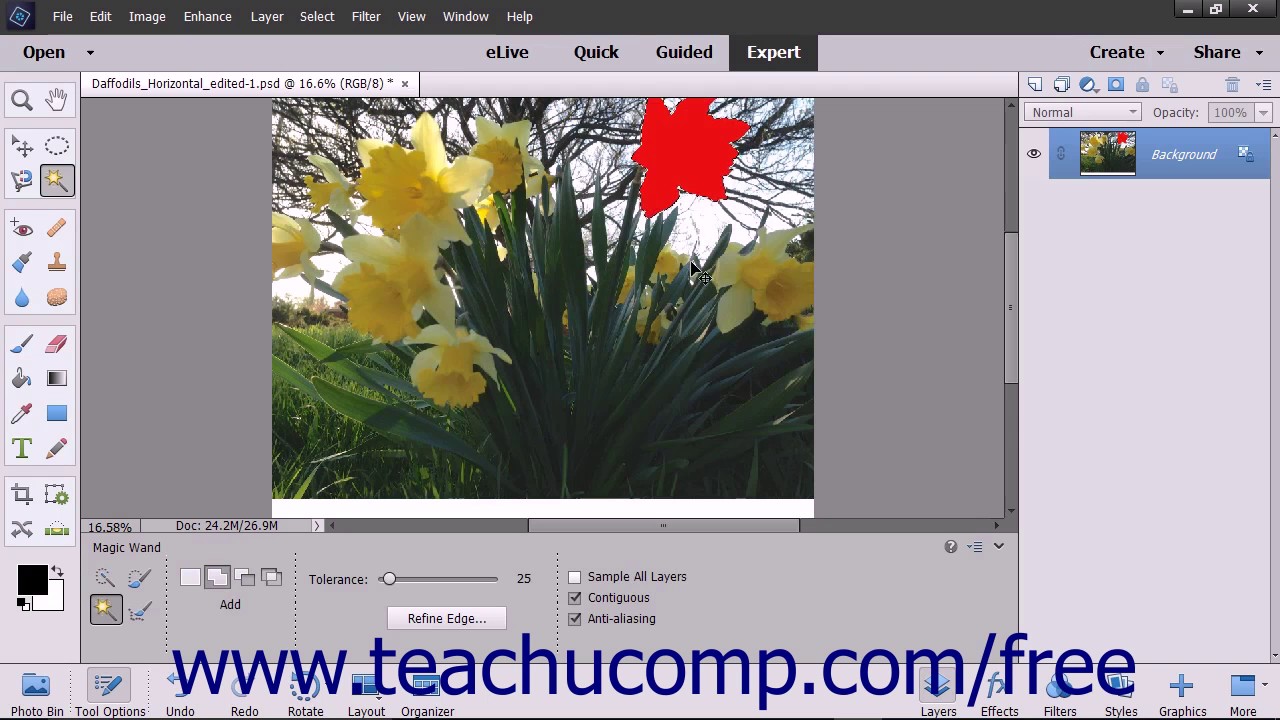 Photoshop Elements 15 Tutorial Applying Fills Adobe Training - YouTube
