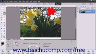 Famous Photoshop Elements 15 Tutorial Applying Fills Adobe Training Wealth
