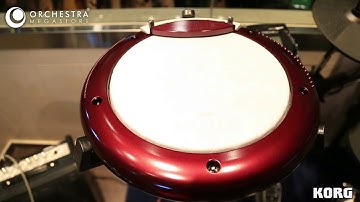 Korg Wavedrum Global Edition & Oriental