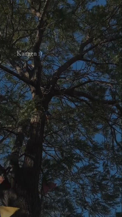 Story Wa' Kangen || Song - Rewrite The Stars