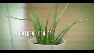 Herbalife Aloe concentrate (original) | English screenshot 5