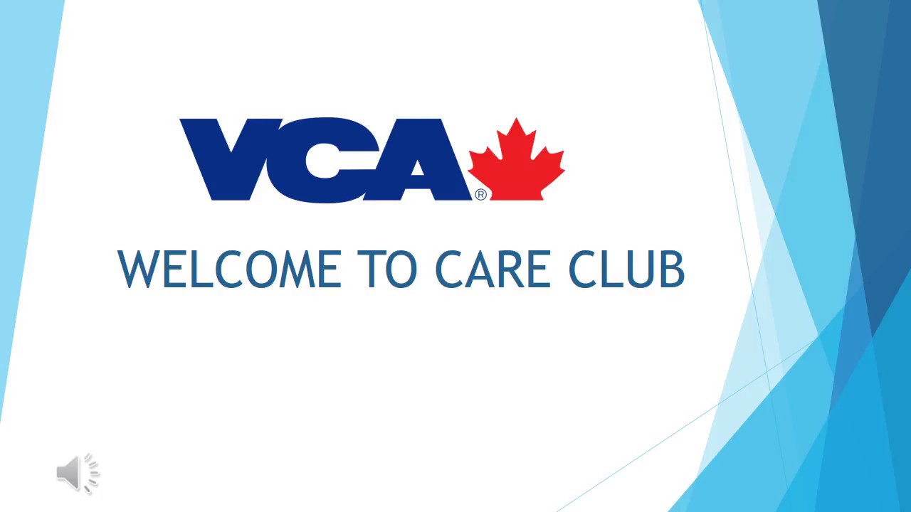 vca care