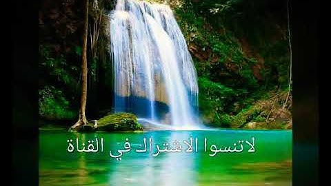 تلاوة تريح النفوس للقارئ سعيد دباح 2018