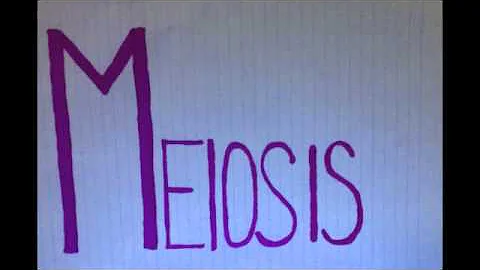 Mitosis and Meiosis