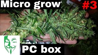 My best PC grow. My first serious micro grow and very happy with th...