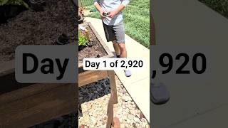 How to Excavate a Pool in 8 Years #rc #excavator #engineering