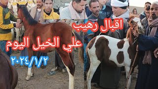 اسعار الخيل والمهر الفلسطيني اليوم ٢٠٢٤/١/٢واقبال رهيب من جميع المحافظات وتغطيه كامله للبيع والشراء