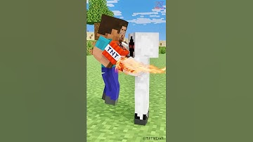 Steve Becomes Herobrine and Wins Entity 303 | Transform Watch #minecraftanimation #transformwatch