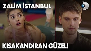 Civanın, Damlayı Kıskandığı Anlar Zalim İstanbul 16. Bölüm