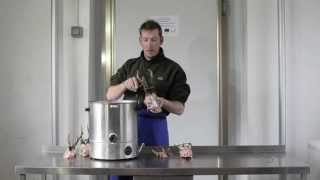 Deer trophy preparation part 1 Profile