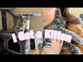 I GOT A KITTEN VLOG! | My first cat &amp; Kitten Haul and Much More!!🐈‍⬛💐💫