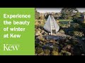 Experience the beauty of winter at Kew Gardens