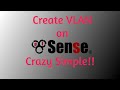 Setting up VLAN on PfSense  SUPER EASY!