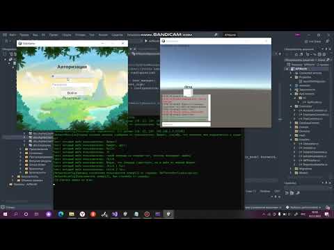 Client-server unity