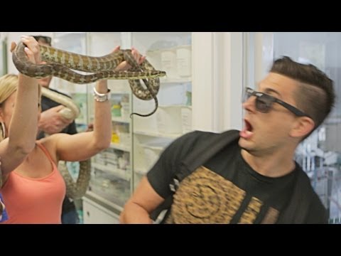 australian-snake-prank