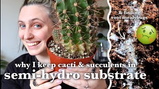 Repotting Cacti into Pon 🌵 and having a bad time when I find mealybugs...