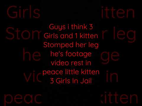 Sometimes The 3 girls and 1 kitten he's death now😭