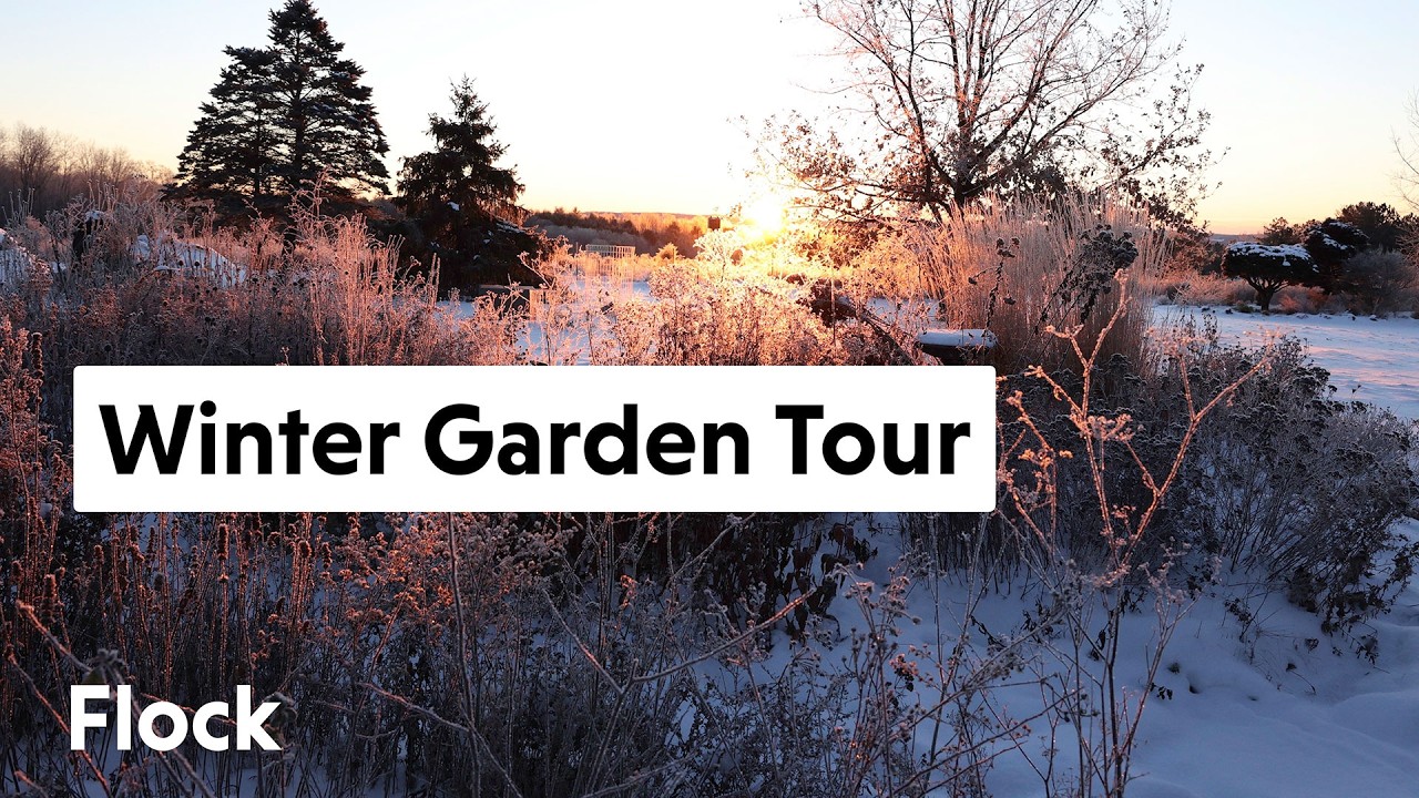 Экскурсия по саду поздней зимой: снег тает! — Эпизод 360