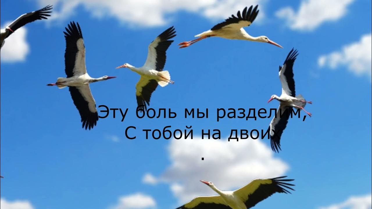 Перелётные птицы журавлиный клин. Четверостишье про перелетных птиц. Перелетная птица я уходила. Перелетная птица я уходила. Перелетные птицы для дошкольников.