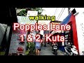 [Bali] Poppies Lane 1&2, Kuta  / take a walk around Bali 2017走在巴厘岛  trip guide videoポピーズ・クタ [4K]