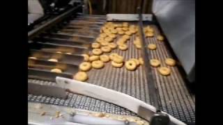 Aligning & Shaker Conveyor System