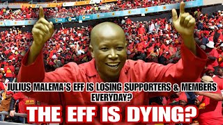 Julius Malema's EFF Is Losing Supporters & Members Everyday The EFF Is Dying