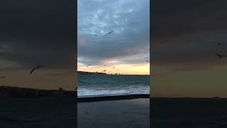 Ilar Ünbatımı Ğa