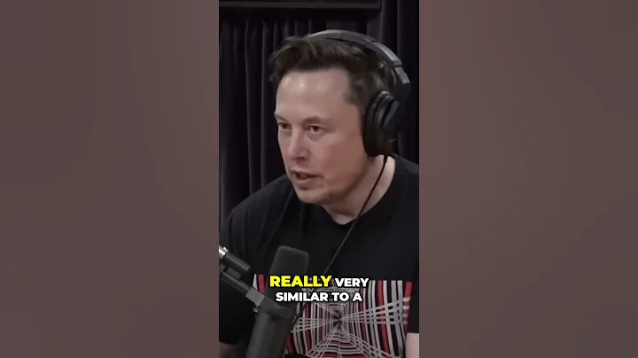 AI vs Human Brain: The Neural Network Connection