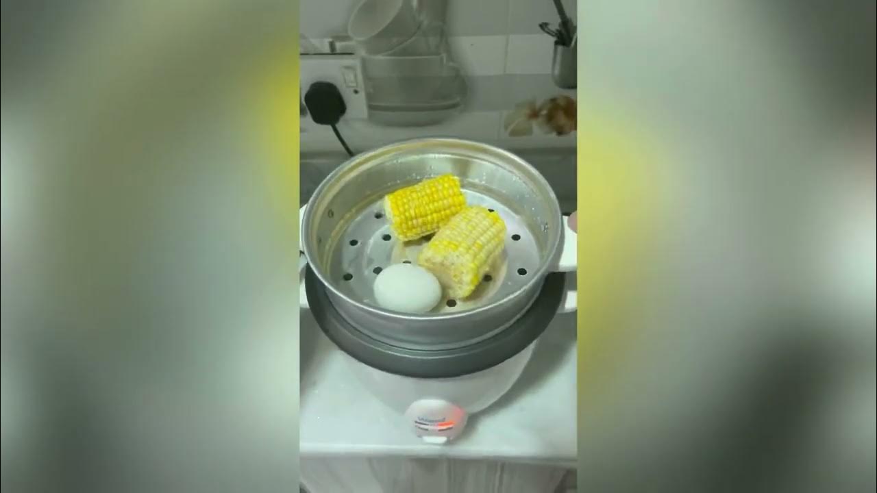 Wansa rice cooker / طباخة الرز من وانسا YouTube