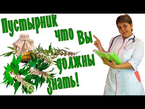 🌿 ПУСТЫРНИК ✅ ПОЛЬЗА и 🔴 ВРЕД для 💊 ЗДОРОВЬЯ: Все, что вы хотели знать о его свойствах и применении!