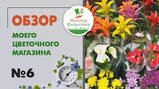 #6 Обзор цветочного магазина "Мистер Флористер". Зеленые питомцы - цветущие и лиственные