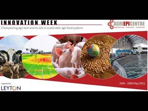 Innovation Week: Technology to detect changes in animal behaviour and welfare on farm