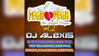 El Pega Pega ( CUMBIAS MIX Vol.2 ) - DJ Alexis