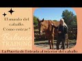 El mundo del Caballo. Como entrar?