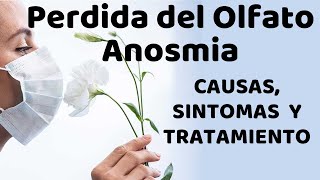 Perdida Del Olfato, Anosmia, Causas, Signos Y Síntomas, Diagnóstico Y Tratamiento