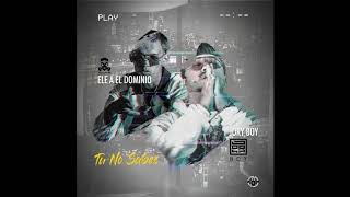 TU NO SABES - Ele a dominio ft Jory Boy.