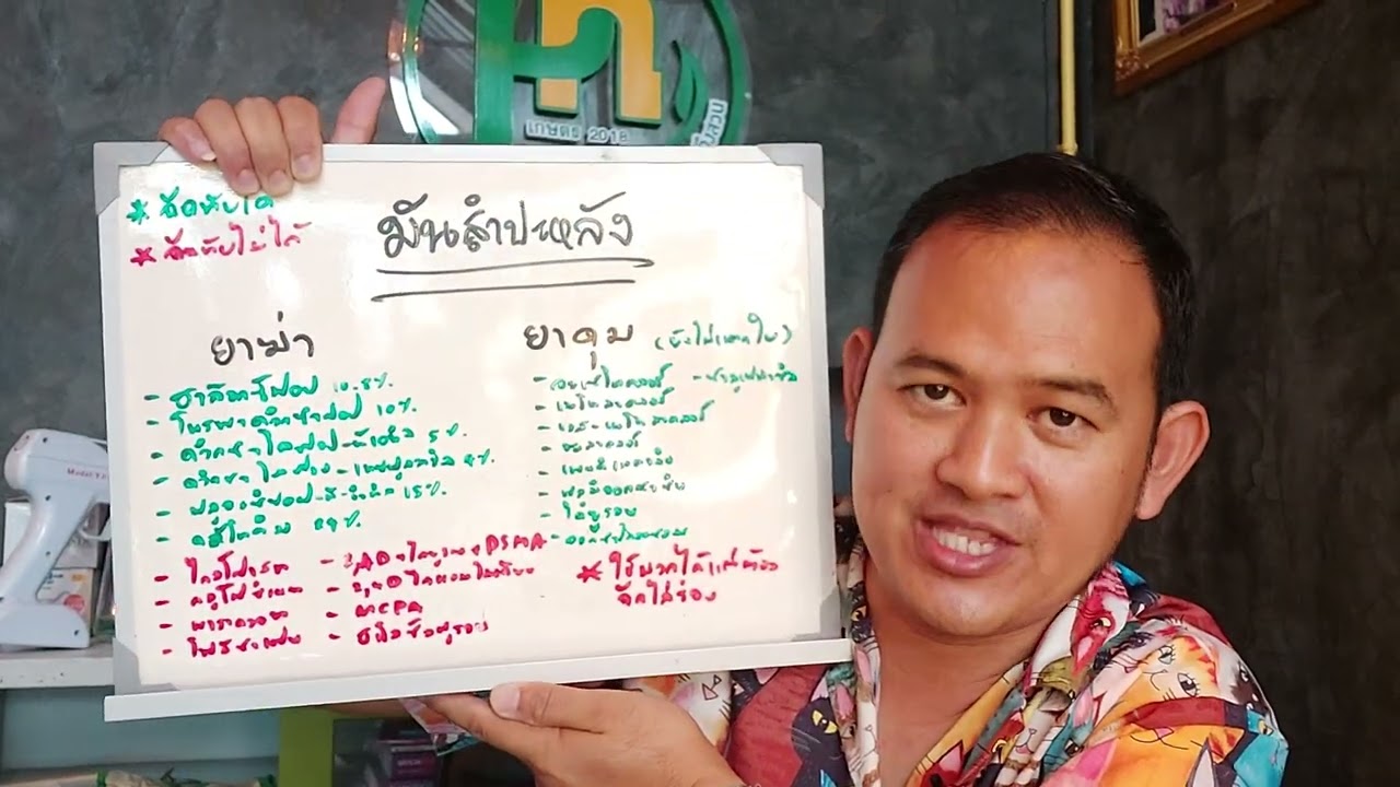 ยาฆ่าหญ้ายาคุมหญ้าในไร่มันสำปะหลัง พีเอ็น เกษตร 2018